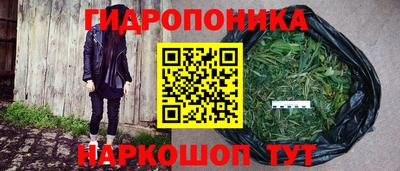 дмт Волжск