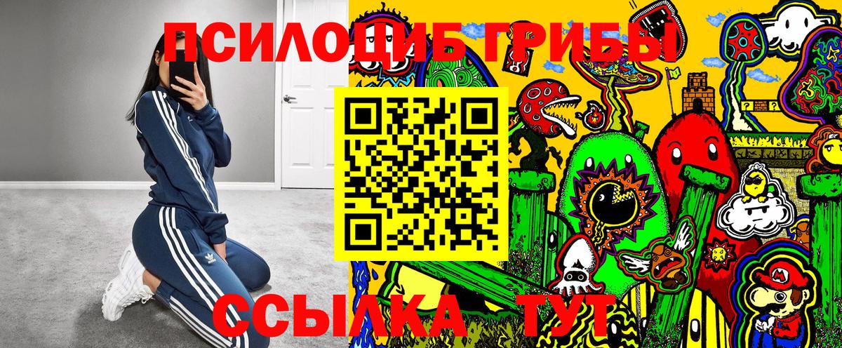 что такое   Галлюциногенные грибы мицелий  Пугачёв  Вход с VPN  Галлюциногенные грибы прущие грибы 