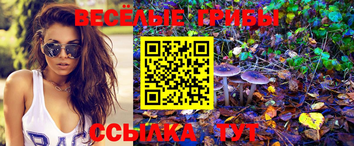 Псилоцибиновые грибы ЛСД Пугачёв